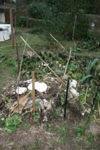 Composting for Anarchists Image